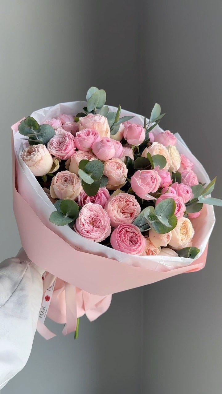 Eternal Elegance Rose Symphony